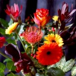 Среќен 8-ми Март